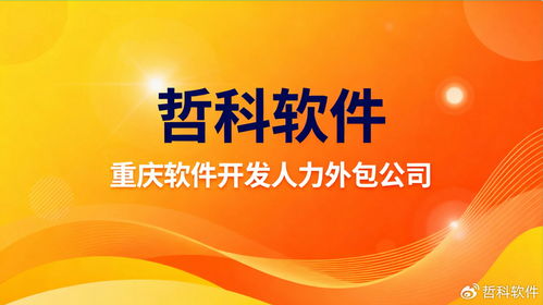 重慶軟件開發(fā)人力外包服務新選擇 揭秘行業(yè)頂尖合作伙伴